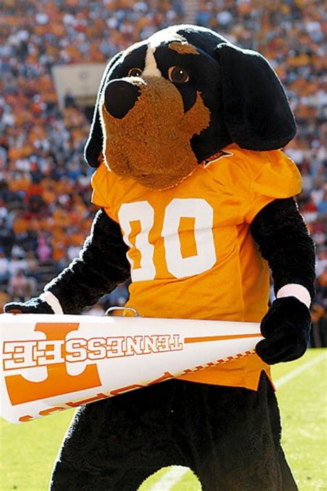 Smoky the Tennessee volunteer mascot